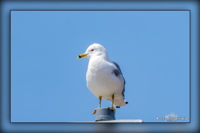 _MTK4262-Edit.jpg