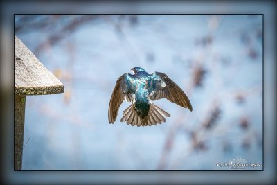 _MTK4447-Edit.jpg