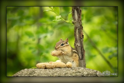 _MTK5484-Edit.jpg