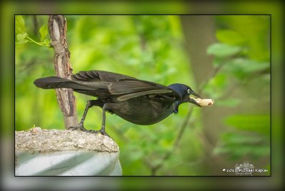 _MTK5538-Edit-Edit.jpg