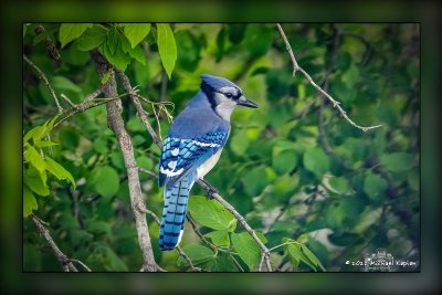 _MTK5600-Edit.jpg