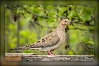 _MTK5614-Edit.jpg