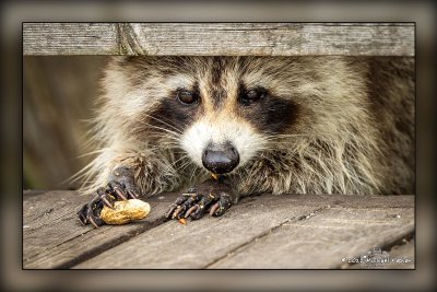 _MTK5630-Edit.jpg