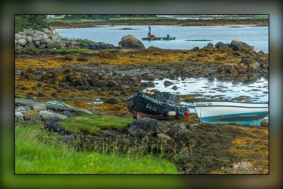 _MTK0993-Edit.jpg