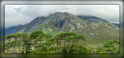 _MTK1032-Edit.jpg