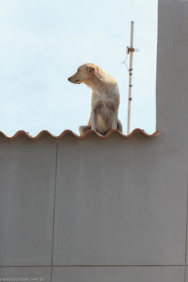 Watching over the city of Santa Maria, 211212.jpg