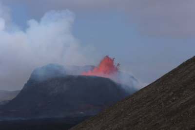 Flk og f - People and fauna of Iceland