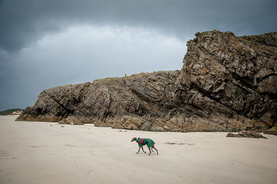 5th May 2019  hound at low tide