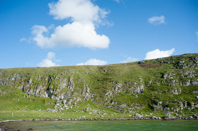 DSC_9396001.jpg