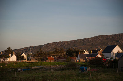 DSC_9812001.jpg
