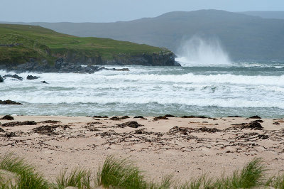 DSC_9931001.jpg