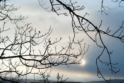 8th December 2019  Wintry sun