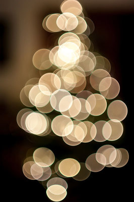 9th December 2019  Christmassy tree