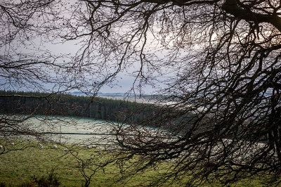 23rd December 2019  frosty