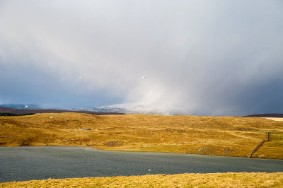 DSC_3844001.jpg