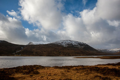 DSC_3920001.jpg