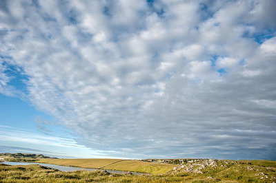 DSC_7674-001.jpg