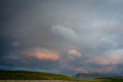 DSC_7808-001.jpg