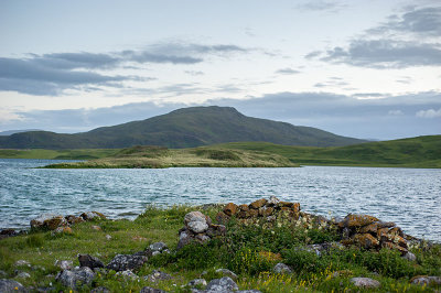 DSC_7811-001.jpg