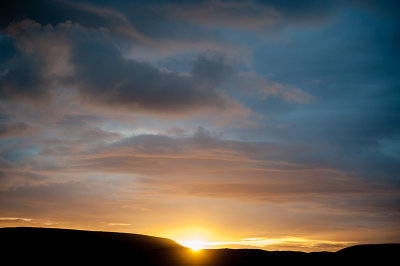 DSC_8220-001.jpg
