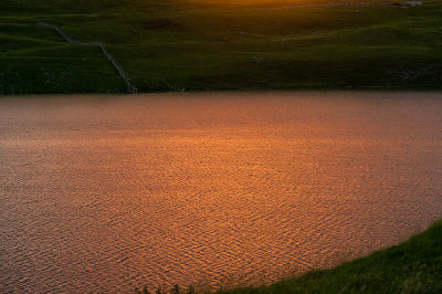 DSC_8251-001.jpg