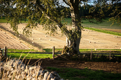 11th September 2020  perfect Autumn day