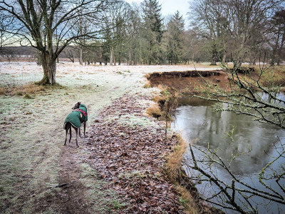 19th January 2021  river bend