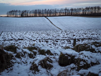 31st January 2021  frost