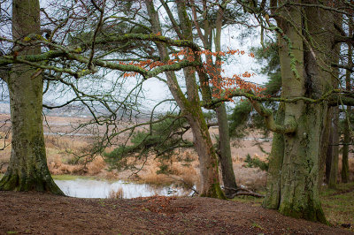 7th March 2021  cold and wet