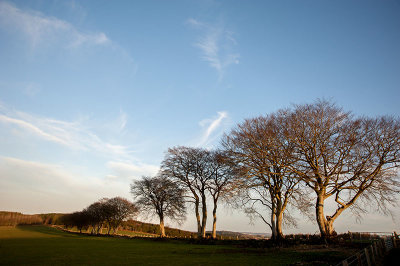 11th March 2021  blustery