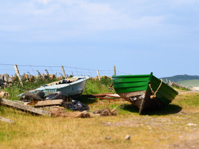 P7030200-3.jpg