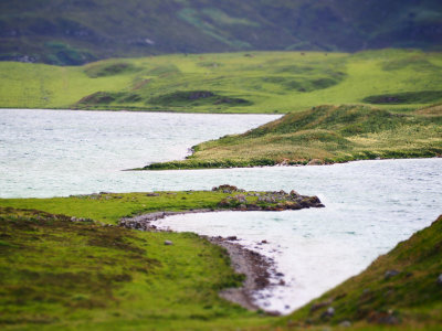 P7140154-2.jpg