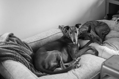 17th October 2021 hound radar