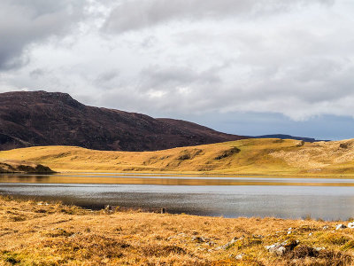 P3120139-2-001.jpg
