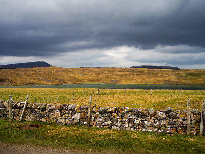 P3130230-2-001.jpg