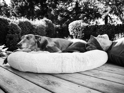25th June 2022 sleepy