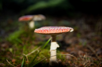 DSC_9279-2.jpg
