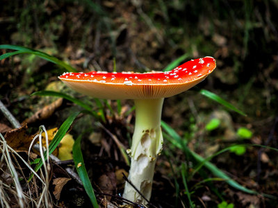 P9190014-2-001.jpg