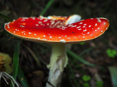 P9190015-2-001.jpg