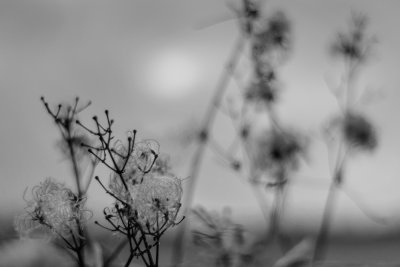 g12/83/775383/3/171540679.X4OaS569.jpg
