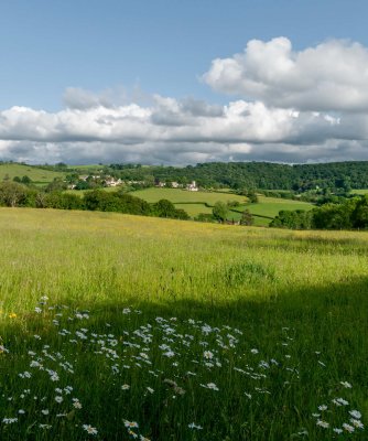 10th - Bucolic