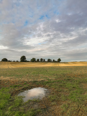 12th - Puddle