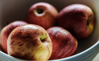 16th - Fruit Bowl