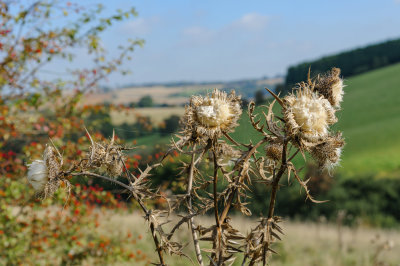 29th - Still Spikey