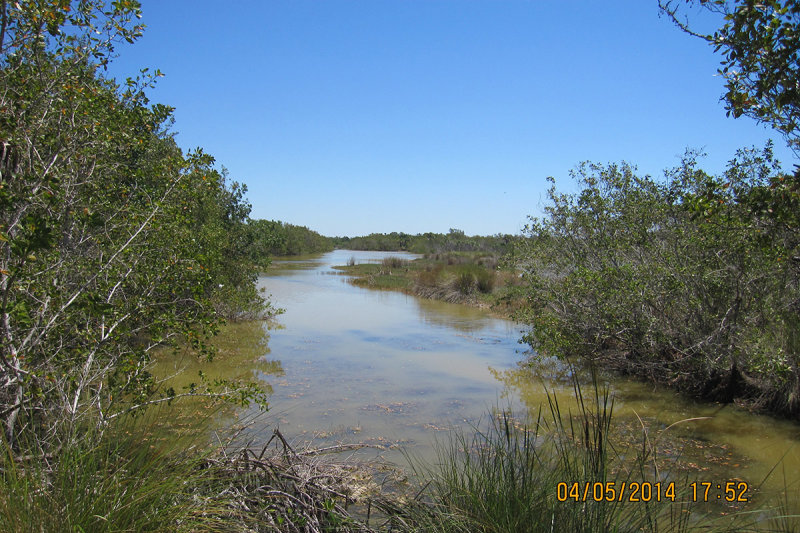 Mangrove Head Pond
