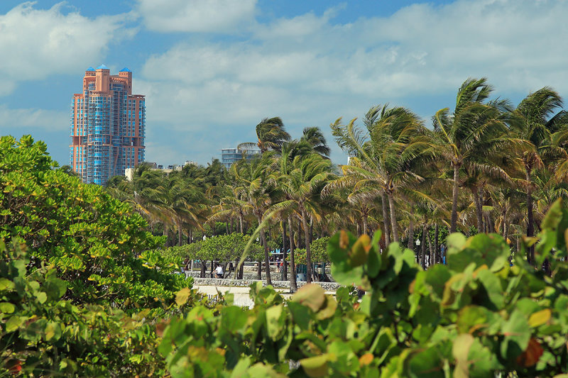 Miami south beach area