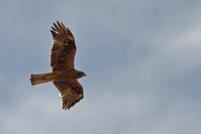 g12/83/944883/3/128938483.bry6Ac2B.jpg