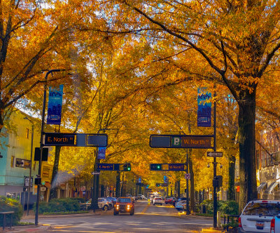 Downtown Greenville 11/17/21