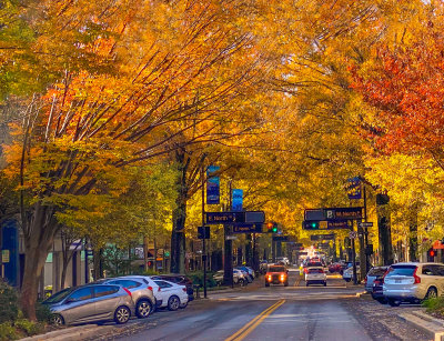 Downtown Greenville 11/17/21