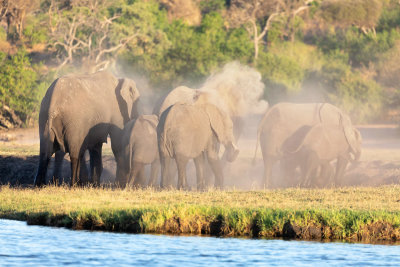 CHOBE RIVER FRONT